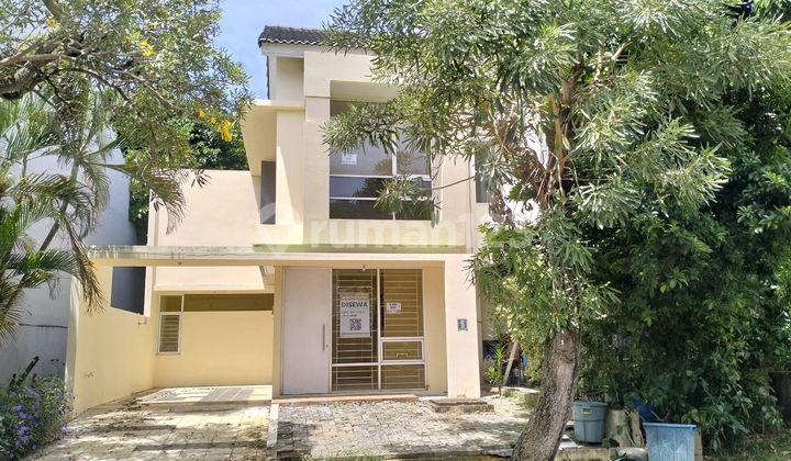 Disewakan Rumah Halaman Belakang Luas Di Cluster Oleaster, Gading Serpong