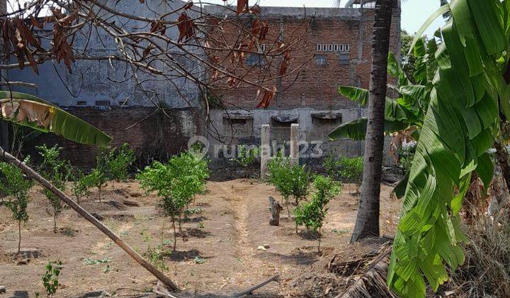 Tanah Dekat Kampus Umm, Kota Malang, Siap Bangun Kos 2