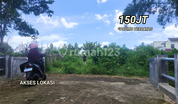 Tanah Kavling Murah Area Dau Landungsari Malang Tanah Kavling Murah Area Dau Landungsari Malang