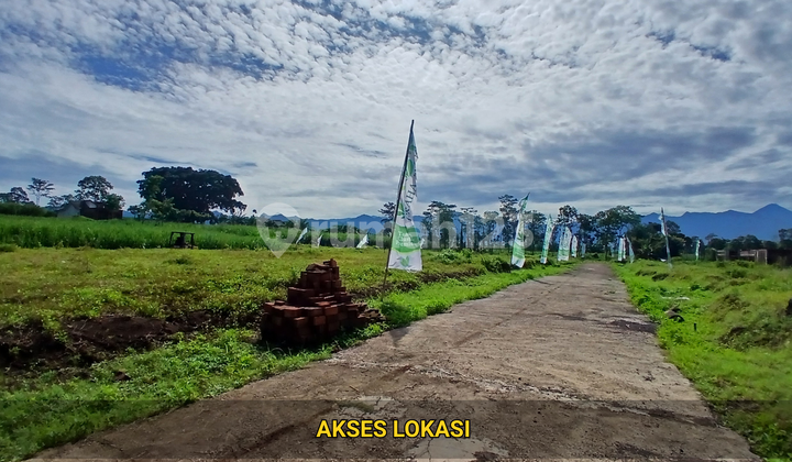 Promo Tanah Murah Pakis Malang 120 Juta Saja Free Biaya Notaris Promo Tanah Murah Pakis Malang 120 Juta Saja Free Biaya Notaris