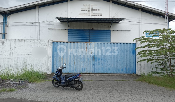 Sewa Gudang Di Romokalisari Surabaya Dekat Teluk Lamong Dan Gresik Sewa Gudang Di Romokalisari Surabaya Dekat Teluk Lamong Dan Gresik