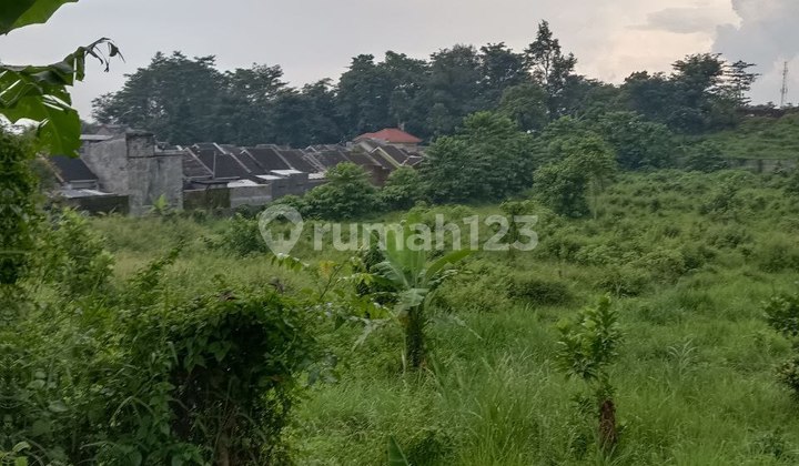 Di Jual Cepat Tanah Di Pandaan, Pasuruan Harga Dibawah Harga Pasaran Belakang Ayam Sri + 100 Meter Dari Mang Engking Cocok Untuk Cafe, Resto, Tempat Wisata Di Jual Cepat Tanah Di Pandaan, Pasuruan Harga Dibawah Harga Pasaran Belakang Ayam Sri + 100 Meter Dari Mang Engking Cocok Untuk Cafe, Resto, Tempat Wisata
