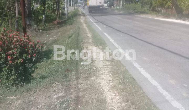 Tanah Murah Siap Bangun, Cocok Untuk  Gudang Di Mayahan Purwodadi 2