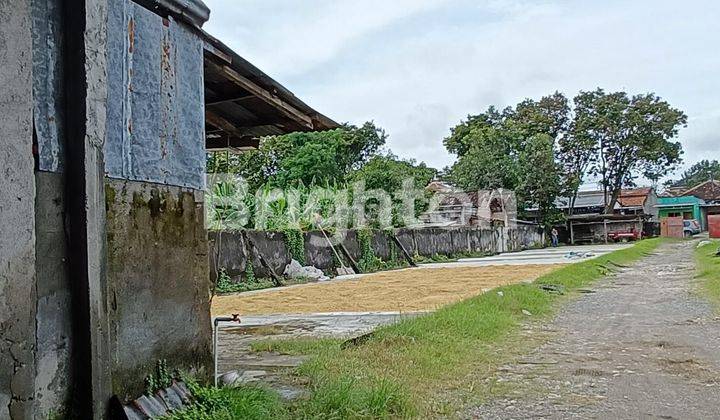 Tanah Luas Lokasi Strategis Di Kuripan Purwodadi 2