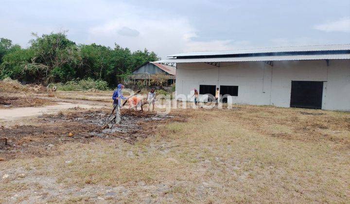 GUDANG EX PABRIK BERAS COCOK UNTUK GUDANG, PABRIK ATAU USAHA LAINNYA DI KEBONAGUNG DEMAK 2