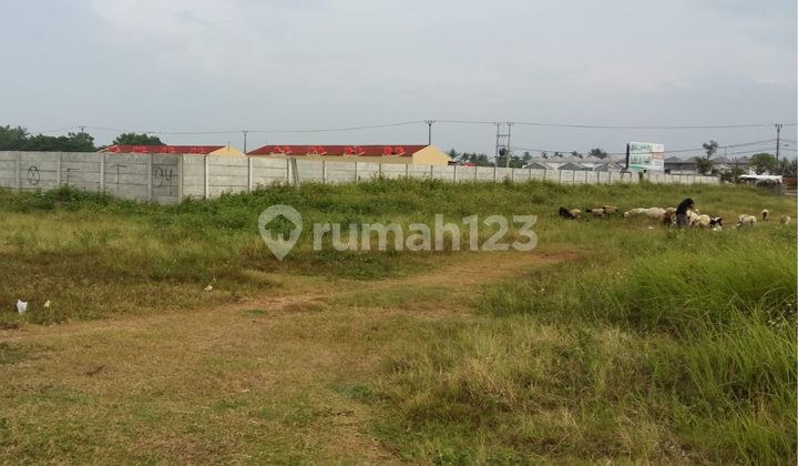 DIJUAL TANAH 2.5 ha SEPATAN TANGERANG Depan jalan raya DIJUAL TANAH 2.5 ha SEPATAN TANGERANG Depan jalan raya