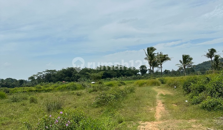 Dijual Kavling Multifungsi Mepet Bsd Tigaraksa, Malangnengah Legok