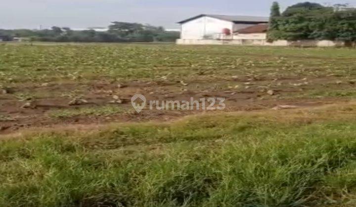 Kavling Multifungsi Untuk Pabrik, Gudang Lokasi Strategis Pasar Kemis Tangerang (Belakang  Gajah Tunggal) 2