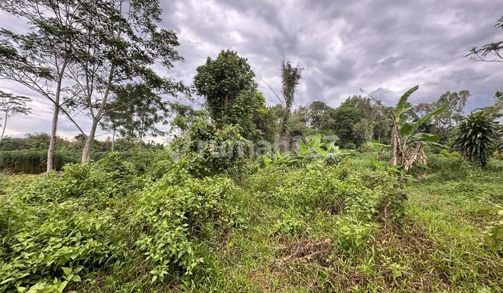 Tanah Siap Bangun Strategis Cluster Perumahan Cisoka Tangerang Banten Tanah Siap Bangun Strategis Cluster Perumahan Cisoka Tangerang Banten