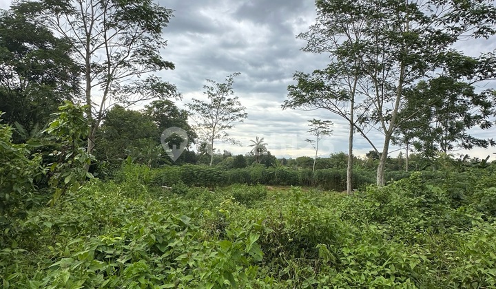 Tanah Siap Bangun Strategis Cluster Perumahan Cisoka Tangerang Banten Tanah Siap Bangun Strategis Cluster Perumahan Cisoka Tangerang Banten