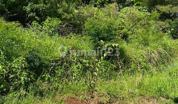 Tanah murah di Punclut, terusan Ciumbeluit 
