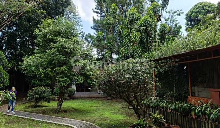 Runmah 2 Lantai Bagus Furnished di Setia Budi, Bandung 2