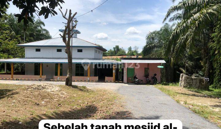 Tanah Dan Kebun Sawit Dijual di Km 6 Duri 1