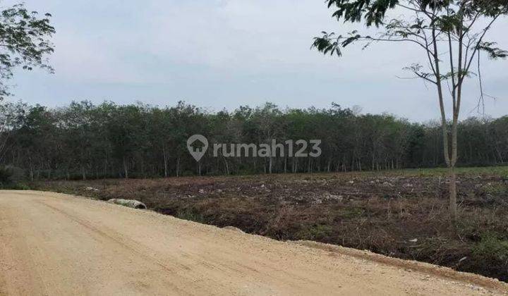 Tanah Kosong 2,3 Hektar di Jl Tugu Nenas Kac. Tambang, Kampar 1