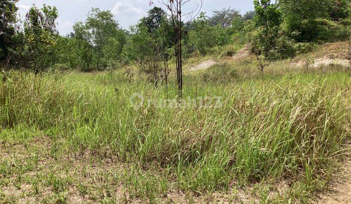 Tanah Kosong Dijual Jl. Lintas Timur Pasar Tangor Kulim 2