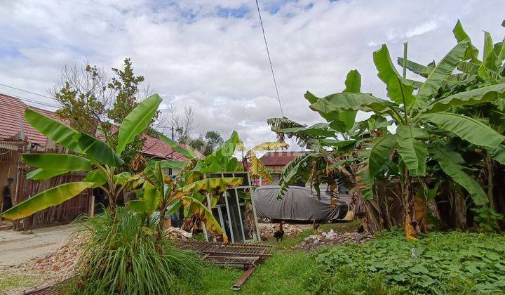 Rumah Bulatan Dengan Halama Luas Dijual di Jalan Pemuda Tampan  2