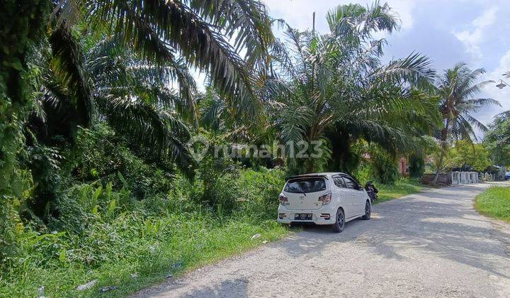 Tanah Lahan Sawit Dijual di Desa Dusun Iv Kubang Jaya 1