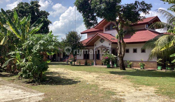 Rumah Dan Tanah Luas Dijual di Jl. Sotomo Pekanbaru