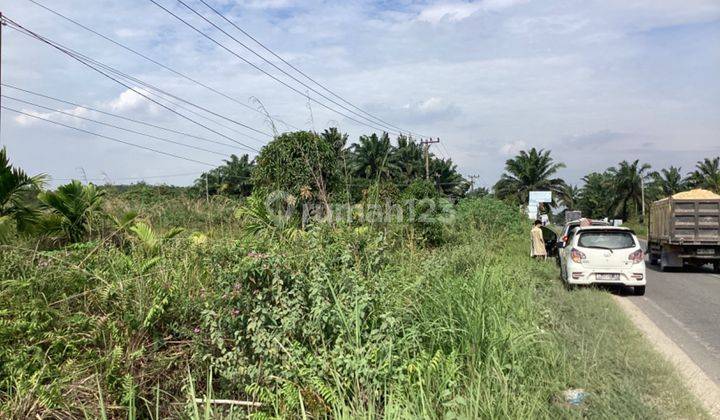 Tanah Lahan Kosong Disamping Jalan Dijual di Jl. Garuda Sakti KM9  1