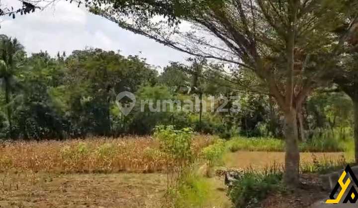 Strategic Industrial Land Location Mojosongo, Boyolali Area 5.5 Hectares Strategic Industrial Land Location Mojosongo, Boyolali Area 5.5 Hectares