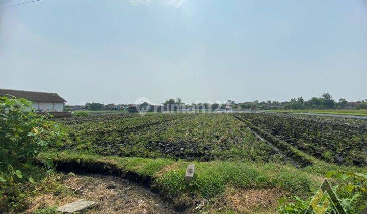 Dijual Lahan Strategis Zona Industri,lokasi Tasikmadu Karanganyar,3300m2,bu 2