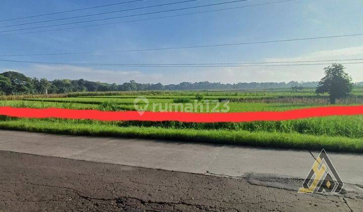 Dijual Lahan Strategis Industri,lokasi Sumberlawang,sragen,12 Ha,bu  2