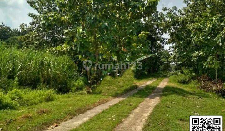 Dijual Tanah Industri Saren Kalijambe Sragen,jawa Tengah. lt 5ha 2
