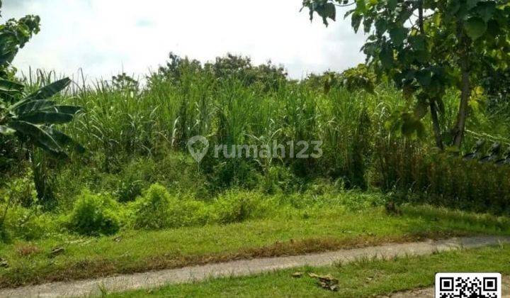 Dijual Tanah Industri Saren Kalijambe Sragen,jawa Tengah. lt 5ha 1