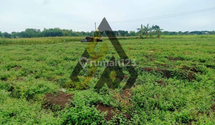 Dijual Lahan Zona Industri 15ha Lokasi di Sumberlawang,sragen Bu  2