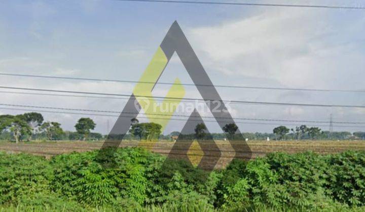 Dijual Bu Lahan Zona Industri 1,1 Ha Lokasi Sambungmacam Sragen  2