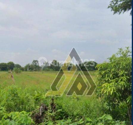 Dijual Lahan Zona Industri 1,6 Ha Lokasi di Pedan,klaten Bu  2