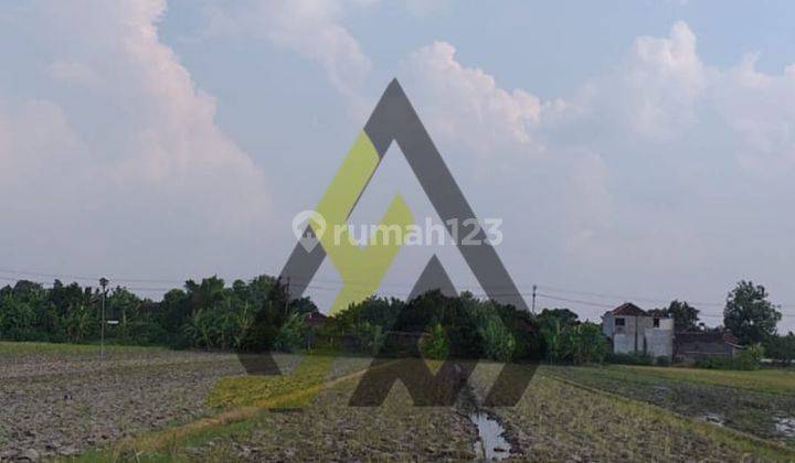 Dijual Lahan Zona Pekarangan 2510m2 Lokasi Baki,sukoharjo  2