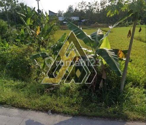 Dijual Tanah Zona Industri 6 Ha Lokasi di Polokarto,sukoharjo  2