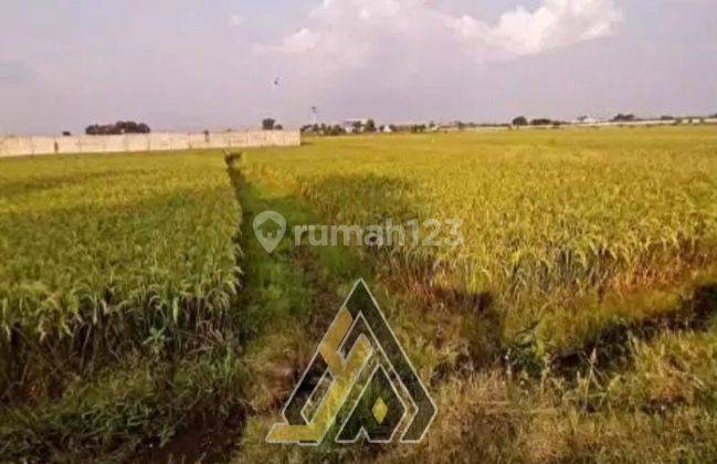 Dijual Tanah Zona Industri Luas 5,5 Ha Berlimbah Sragen 2