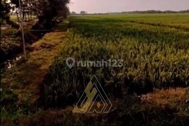 Dijual Tanah Zona Industri 12 Ha Berlimbah di Sragen 2