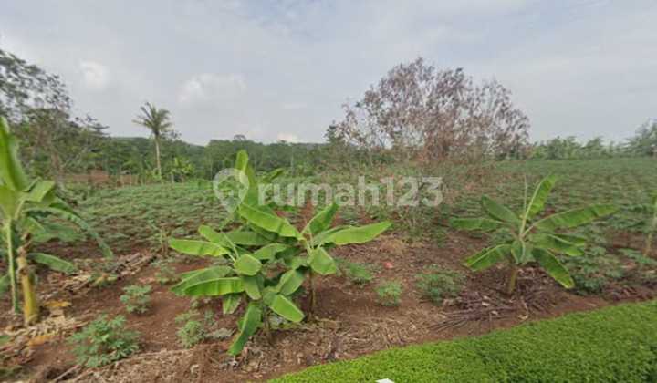 Industrial Zone Land Location Batang Area 1,193 Hectares