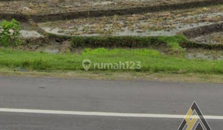 Dijual Tanah Strategis Zona Industri 3 Hektar Berlimbah Sambungmacam,Sragen 2