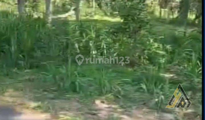 Dijual Lahan Strategis Industri,lokasi Ngadirejo,temanggung 5 Ha,bu  2