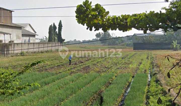 Industrial Zone Land, Strategic Location Masaran, Sragen, Area 3600M2