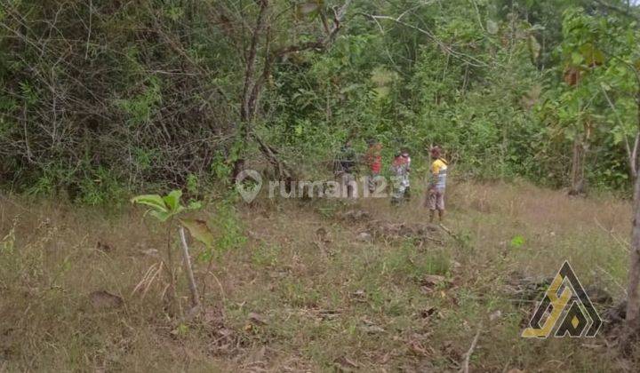 Dijual Lahan Strategis Industri,lokasi Wuryantoro, Wonogiri,luas 125 Ha 2