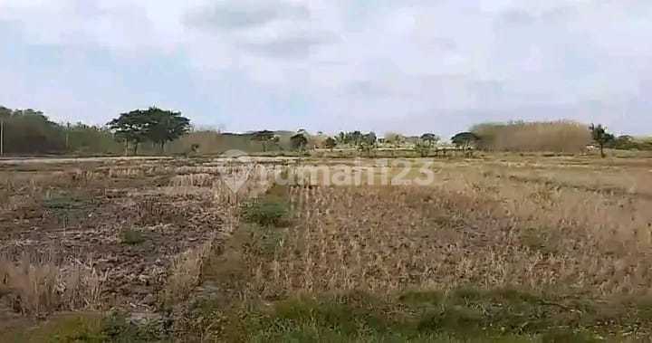 Industrial Red Zone Land Location Klaten Area 19 Ha Industrial Red Zone Land Location Klaten Area 19 Ha