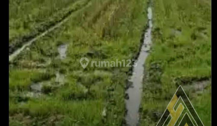 Dijual Tanah Pekarangan Strategis 1 Ha Non Limbah Masaran,sragen 2