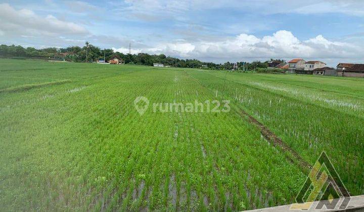 Dijual Lahan Strategis Industri,lokasi Bowan Klaten,luas 5 Ha,bu  2