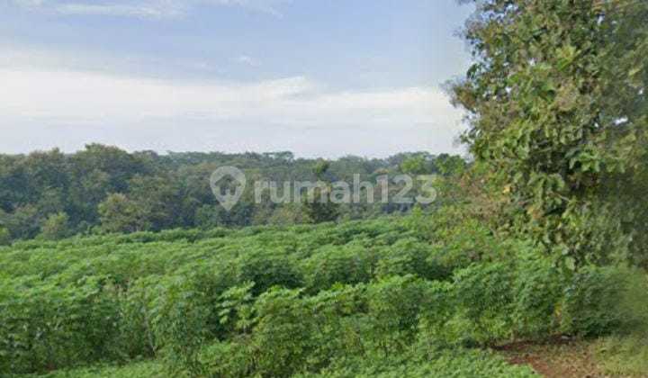 Lahan Zona Kuning Lokasi Wonogiri Luas 2,1 Hektar