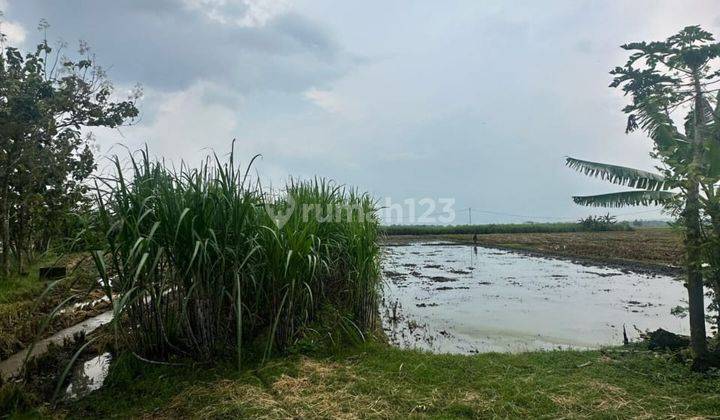 Dijual tanah zona merah industri lokasi Ngawi, Luas 2.4 Ha BU!