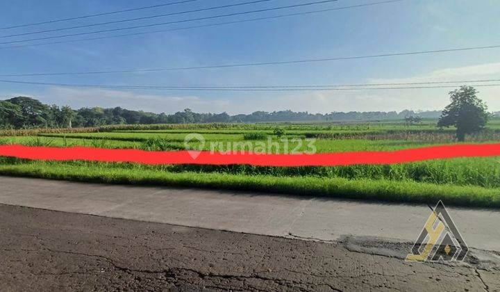 Dijual Cepat Lahan Zona Industri,Lokasi Sumberlawang,Sragen,Luas 15 Ha,Bu! 2