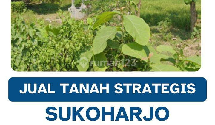 Dijual Lahan Zona Industri,lokasi Nguter Sukoharjo,4 Hektar,bu 1