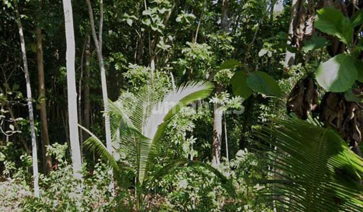 Lahan Pekarangan Lokasi Pengasih,Yogyakarta Luas 5 Ha Bu!!