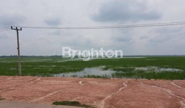 TANAH SELUAS KURANG LEBIH 30 HEKTAR DI TANJUNG SEJARO INDRALAYA OI, SUMATERA SELATAN INDONESIA 2