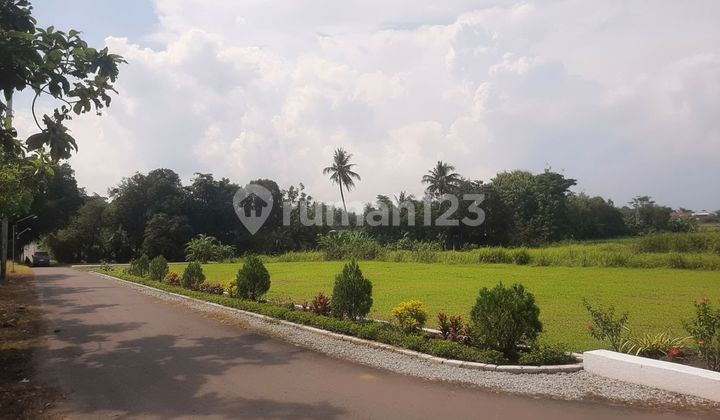 Promo Tanah Kavling di Godean Sleman - Investasi Aman Harga Bersahabat